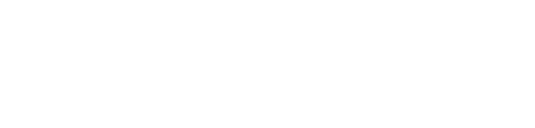 Logo Bering
